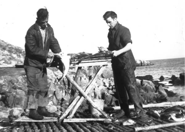 102: Francis Whelan and Tom Counsel, on Steve Mulrooney's stage. (1963) [courtesy of  Mary Anne (Barry) Counsel]  - Francis son of Thomas Whelan &amp;amp; Anastasia Barry; Tom son of Michael Counsel &amp;amp;  Mary Anne Barry